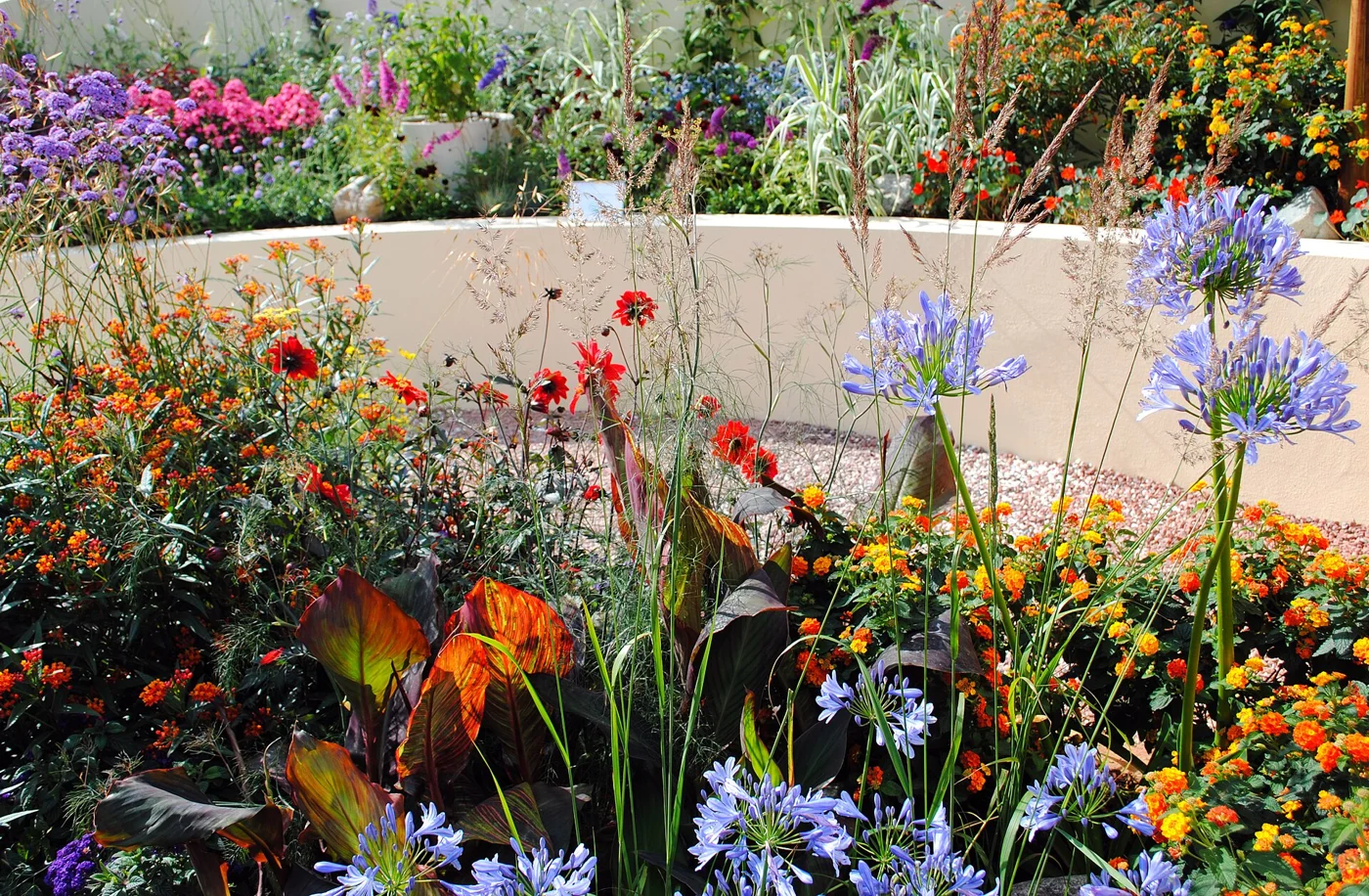Colourful flowers and tall grasses surrounding pale walls in a Hampton Court show garden.